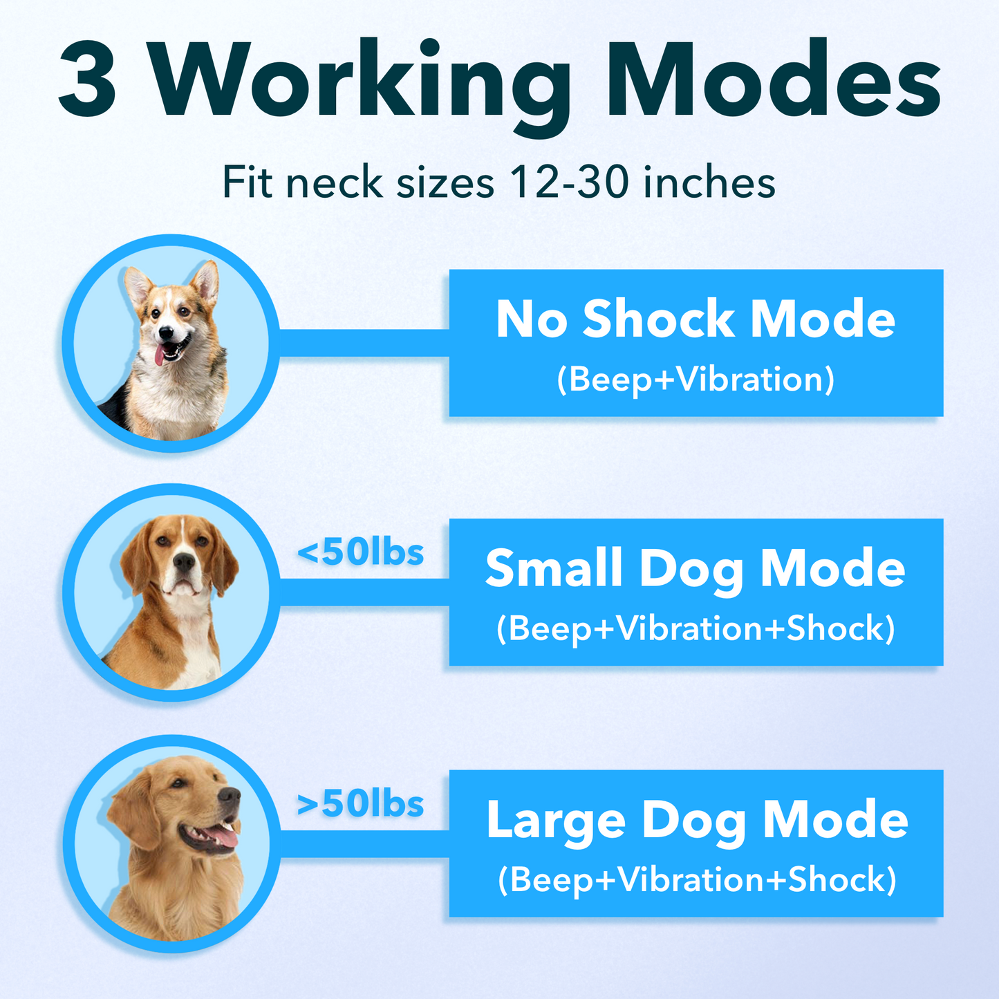 GPS Wireless Dog Fence