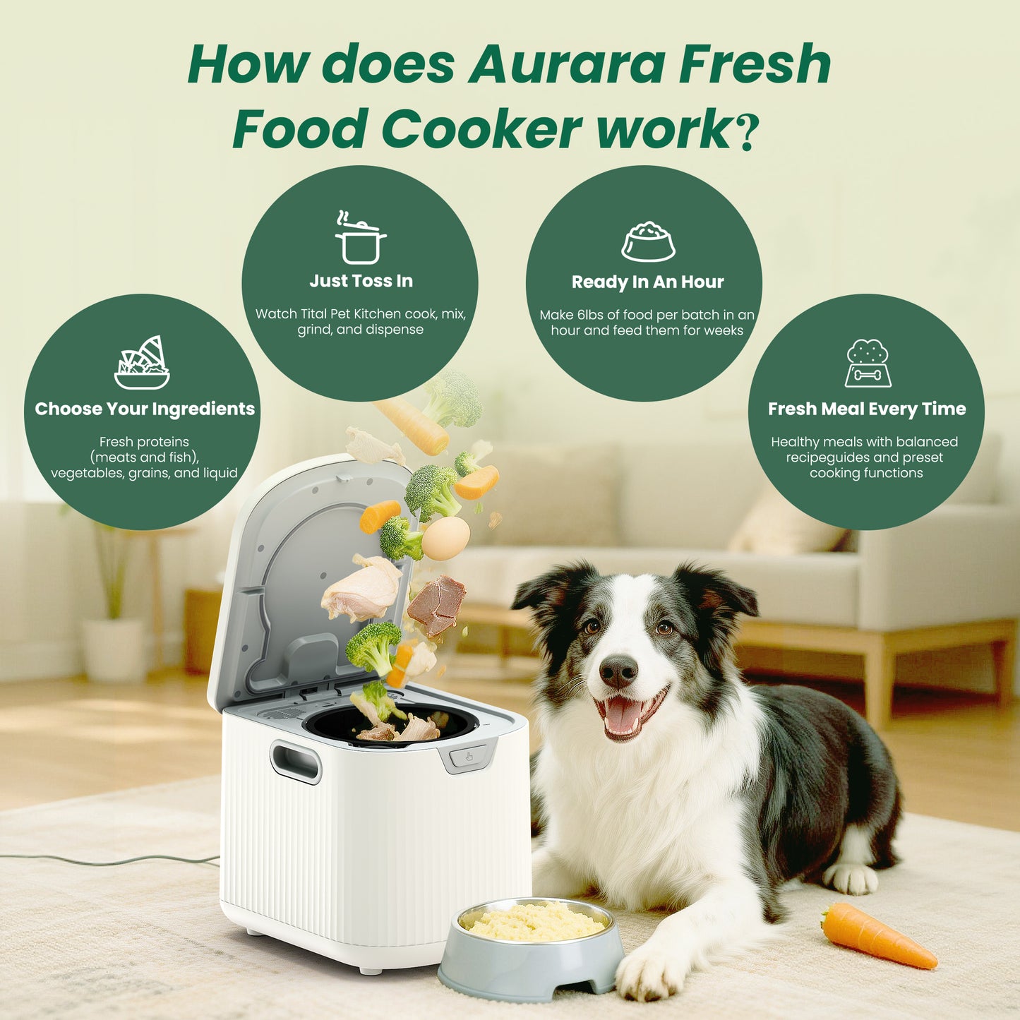 Aurara Pet Fresh Food Cooker 3LB Large Capacity Dog Food Maker for Dogs, Dishwasher Safe, White
