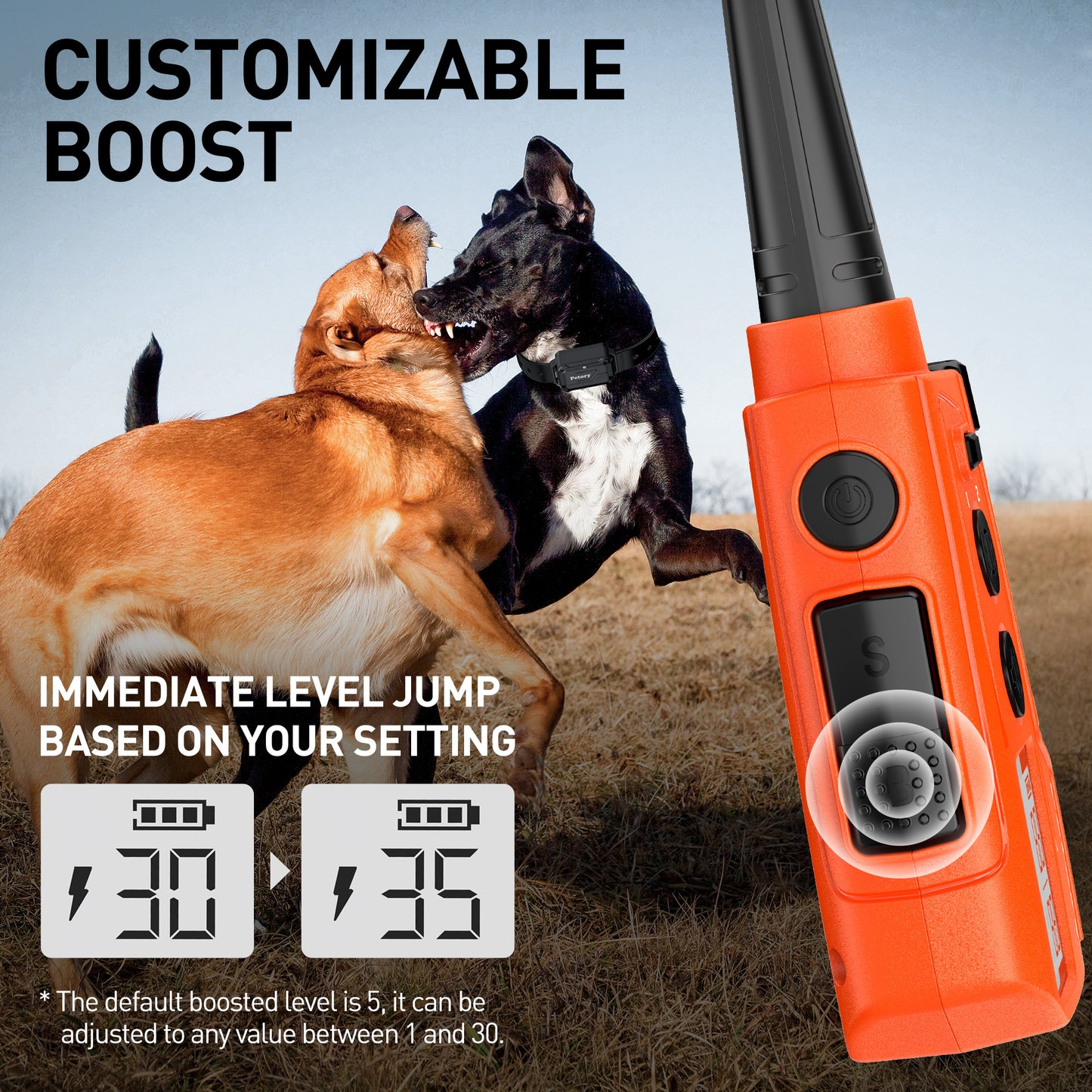 Dog Training Collar 642