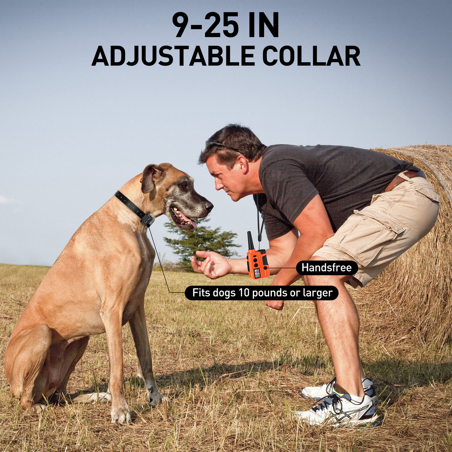 Dog Training Collar 642