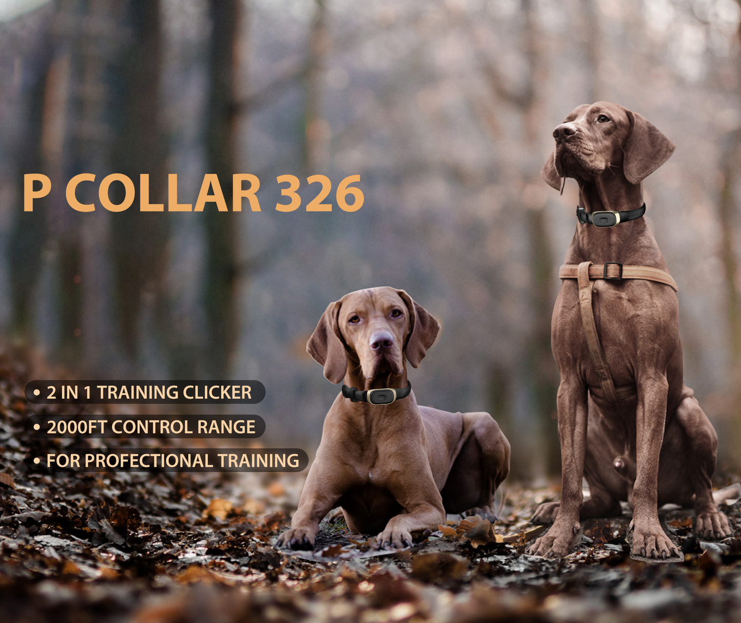 Patpet 4200ft IPX7 Waterproof Dog Training E Collar with 3 Modes for 15-140 Lbs Dogs