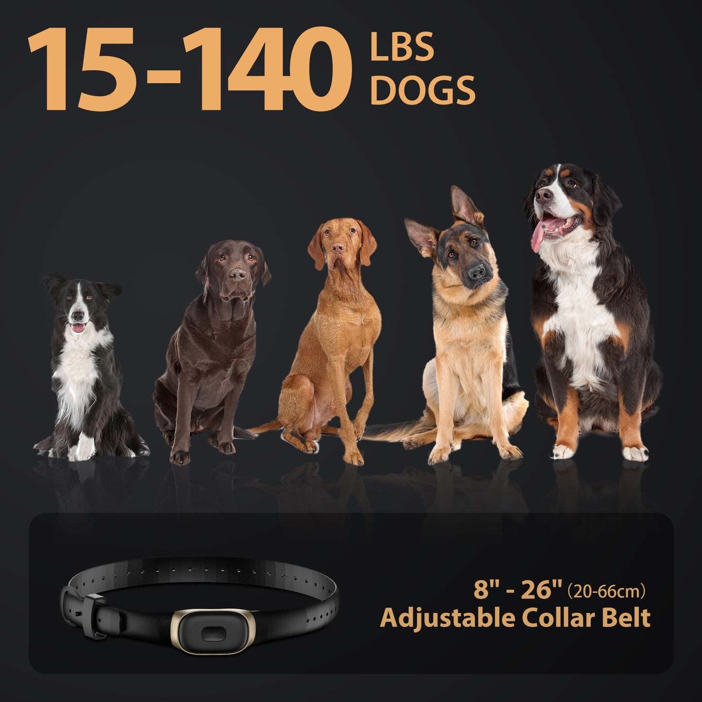 Patpet 4200ft IPX7 Waterproof Dog Training E Collar with 3 Modes for 15-140 Lbs Dogs