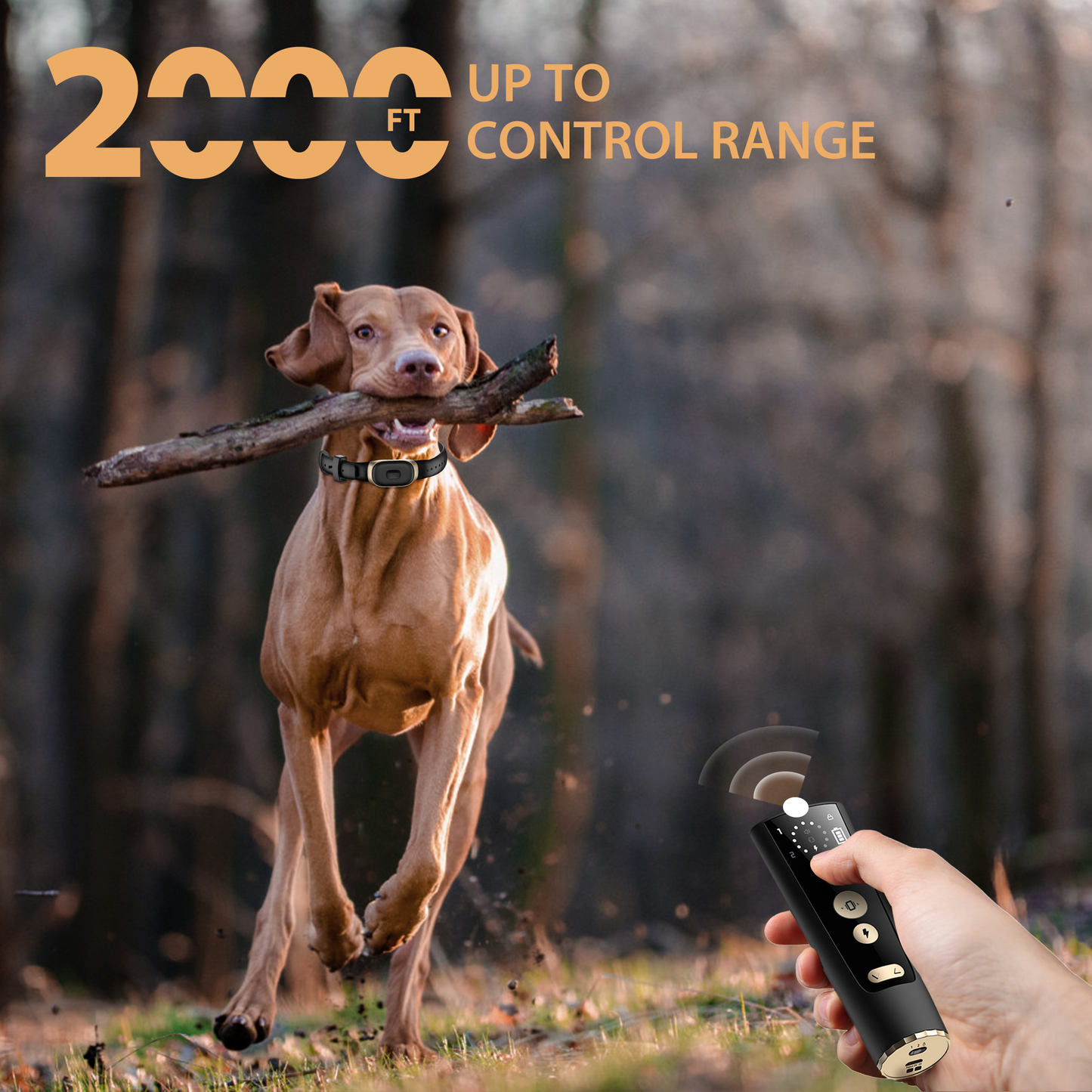 Patpet 4200ft IPX7 Waterproof Dog Training E Collar with 3 Modes for 15-140 Lbs Dogs