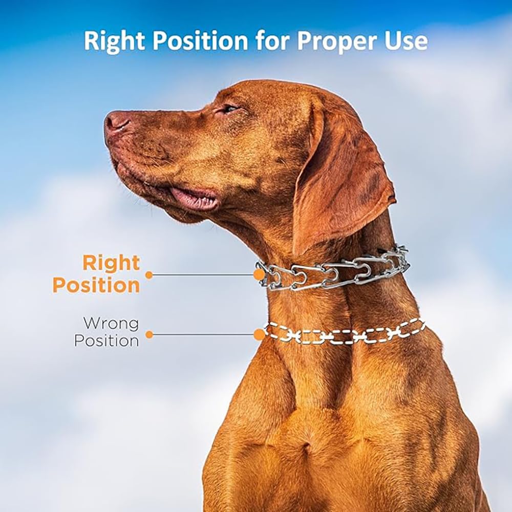 PATPET No-Pull Head Collar with Stainless Steel Carabiner for Large Dogs