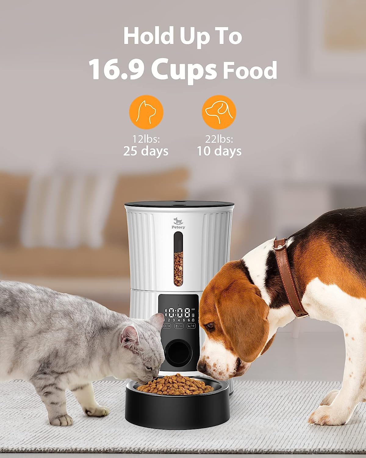 Petory Timed Automatic Cat Feeder