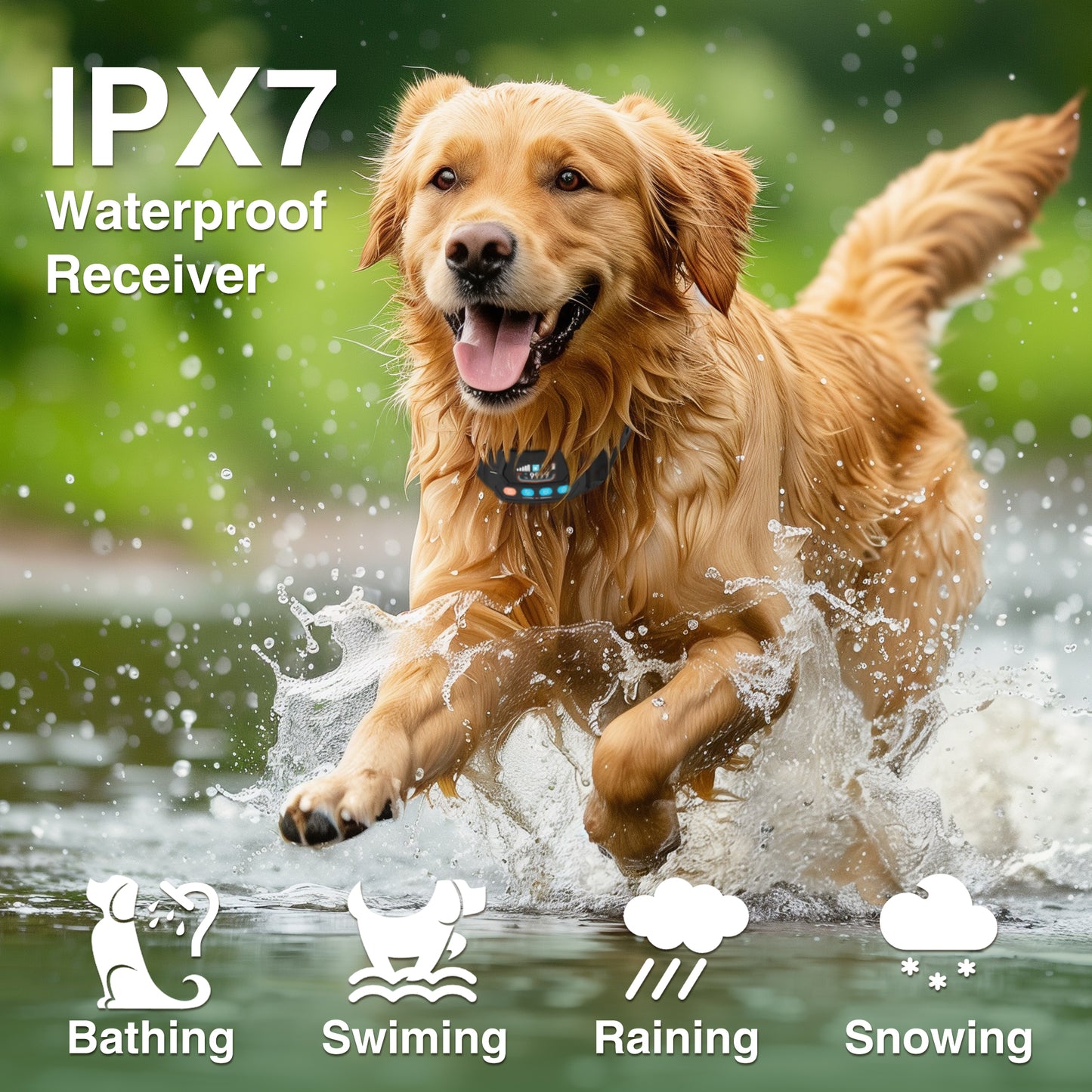 GPS Wireless Dog Fence