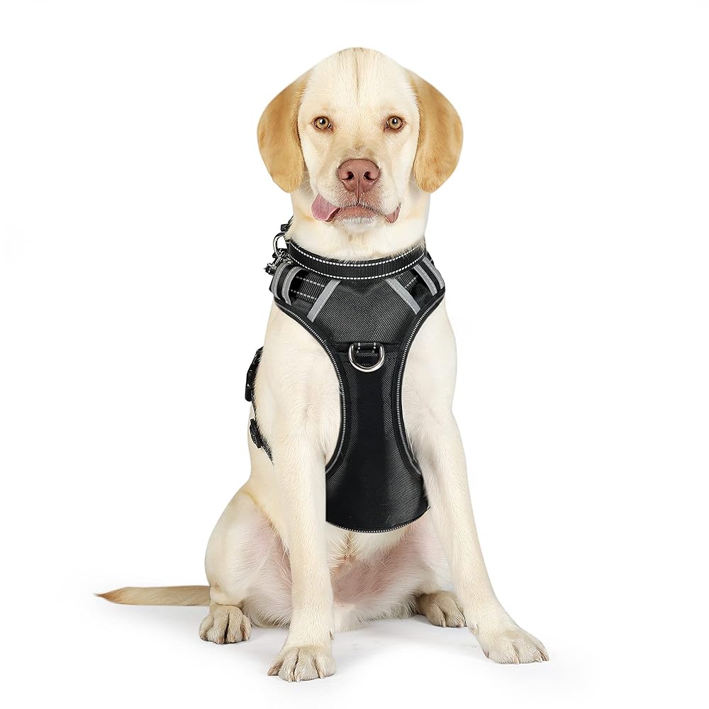 Patpet 2 In 1 No Pull Dog Harness Reflective Adjustable Vest With Handle For Large Dogs
