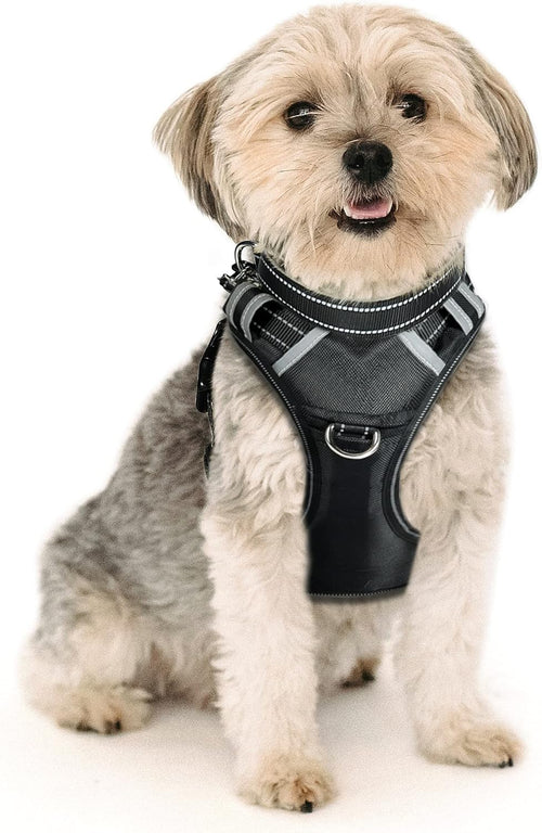 Patpet 2 In 1 No Pull Dog Harness Reflective Adjustable Vest With Handle For Medium Dogs