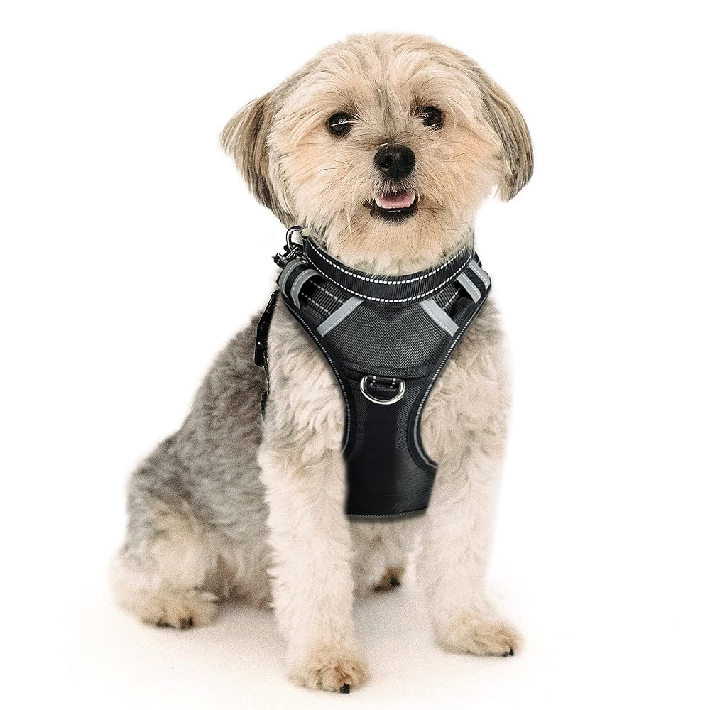 Patpet 2 In 1 No Pull Dog Harness Reflective Adjustable Vest With Handle For Medium Dogs