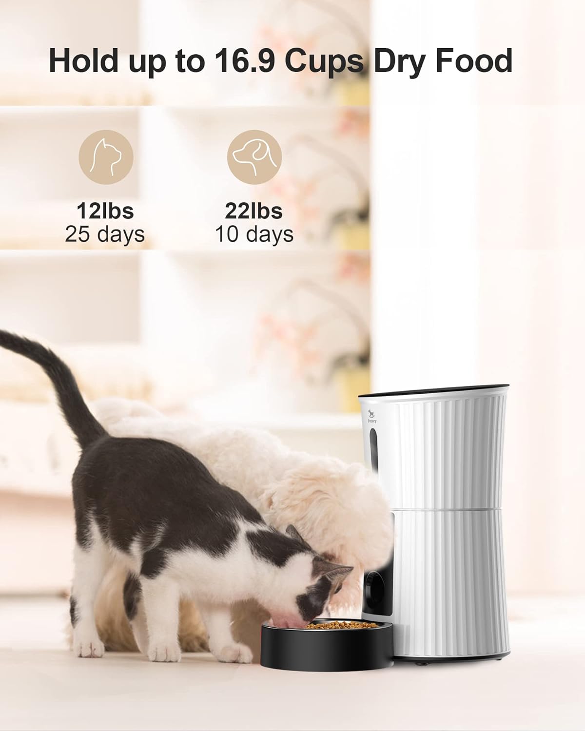 Petory PF01 WIFI Automatic Cat Feeders for Cats and Dogs