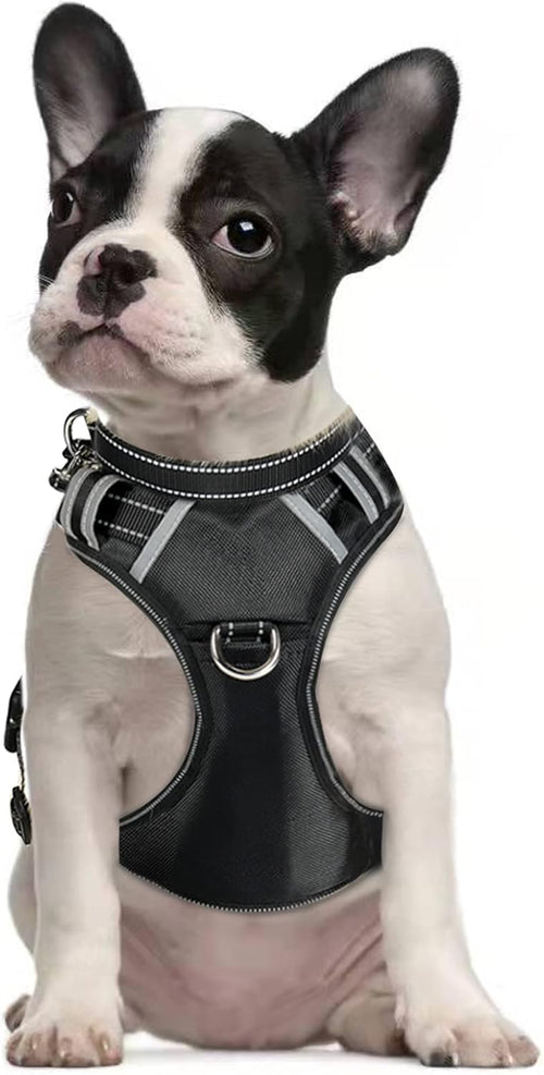Patpet 2 In 1 No Pull Dog Harness Reflective Adjustable Vest With Handle For Small Dogs