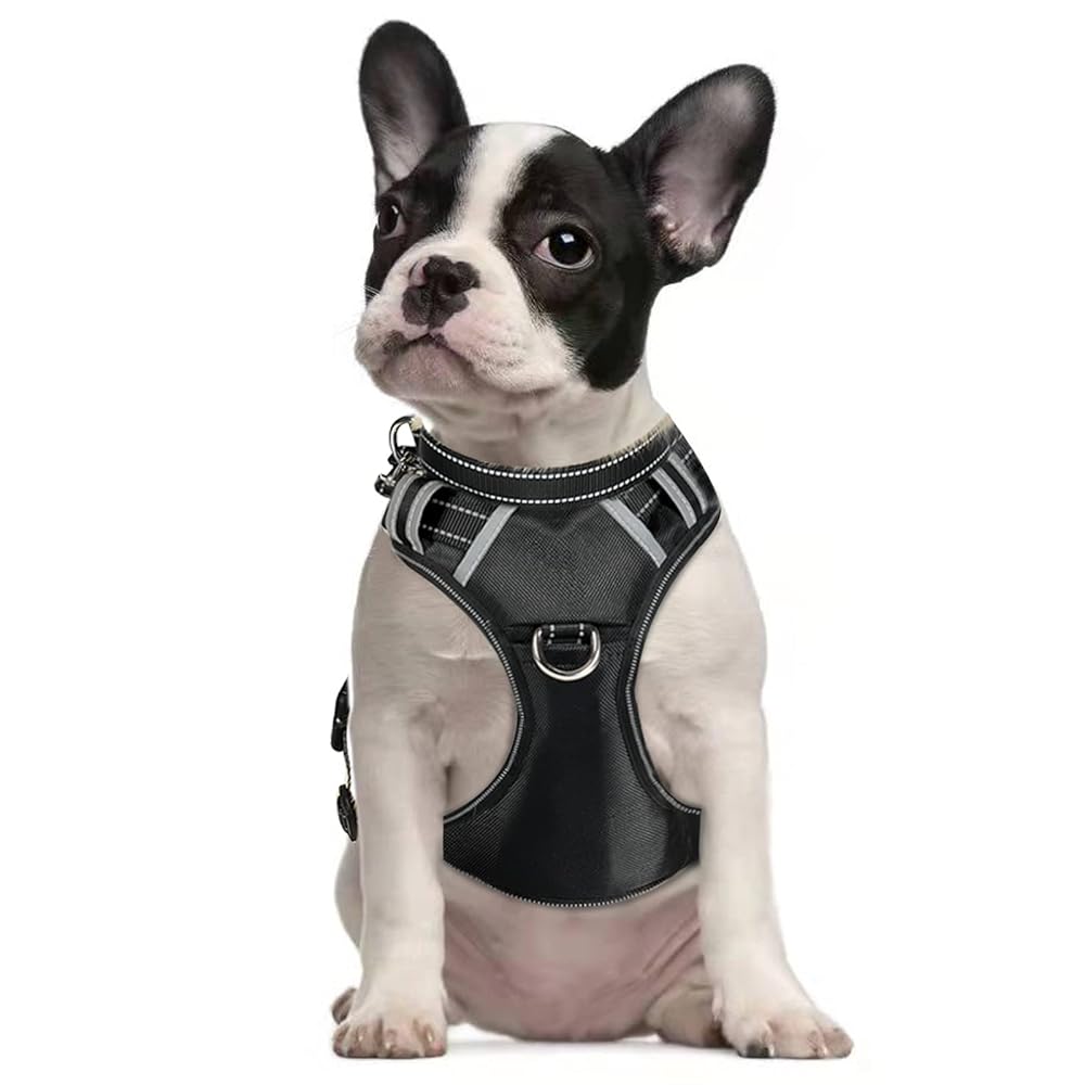 Patpet 2 In 1 No Pull Dog Harness Reflective Adjustable Vest With Handle For Small Dogs